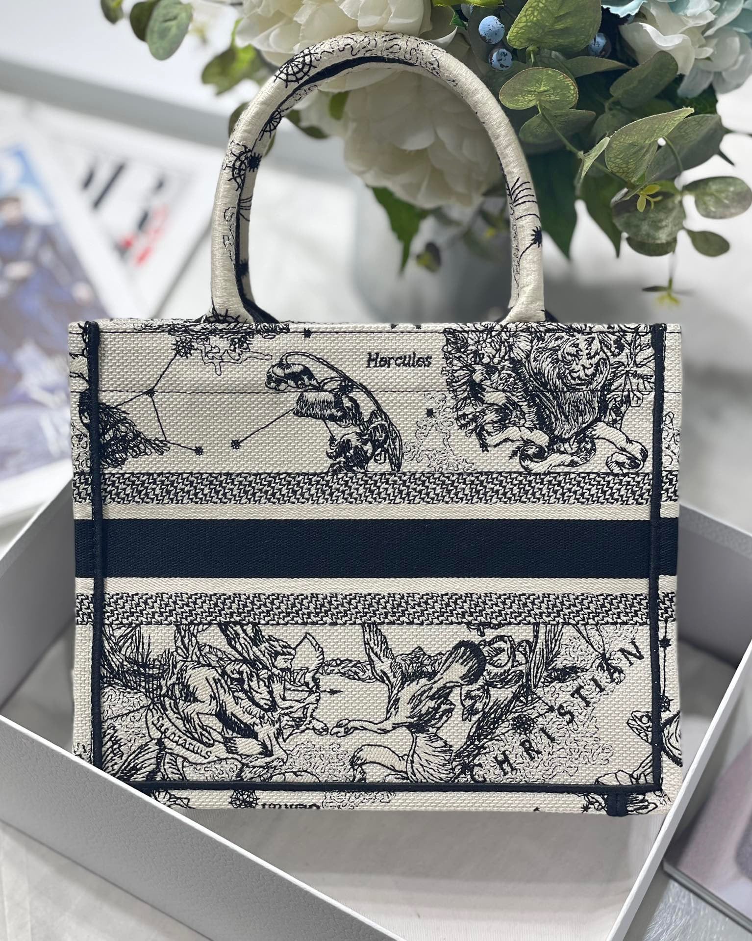 DIOR1.3_3fa12657-e917-4eac-80d2-587249ac24f6