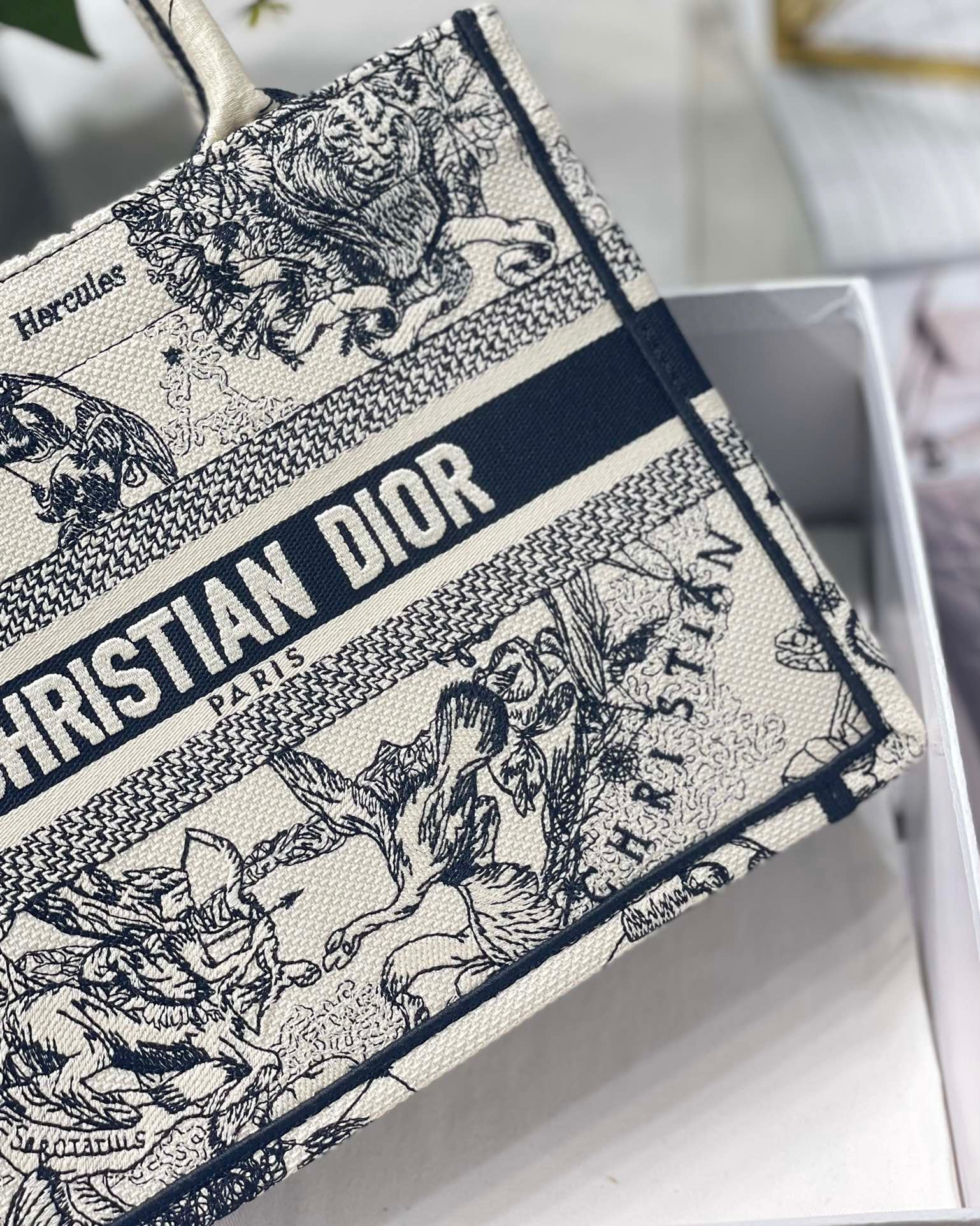 DIOR1.4_2cf5e7a9-fc96-4e9e-af48-b11328f9257e