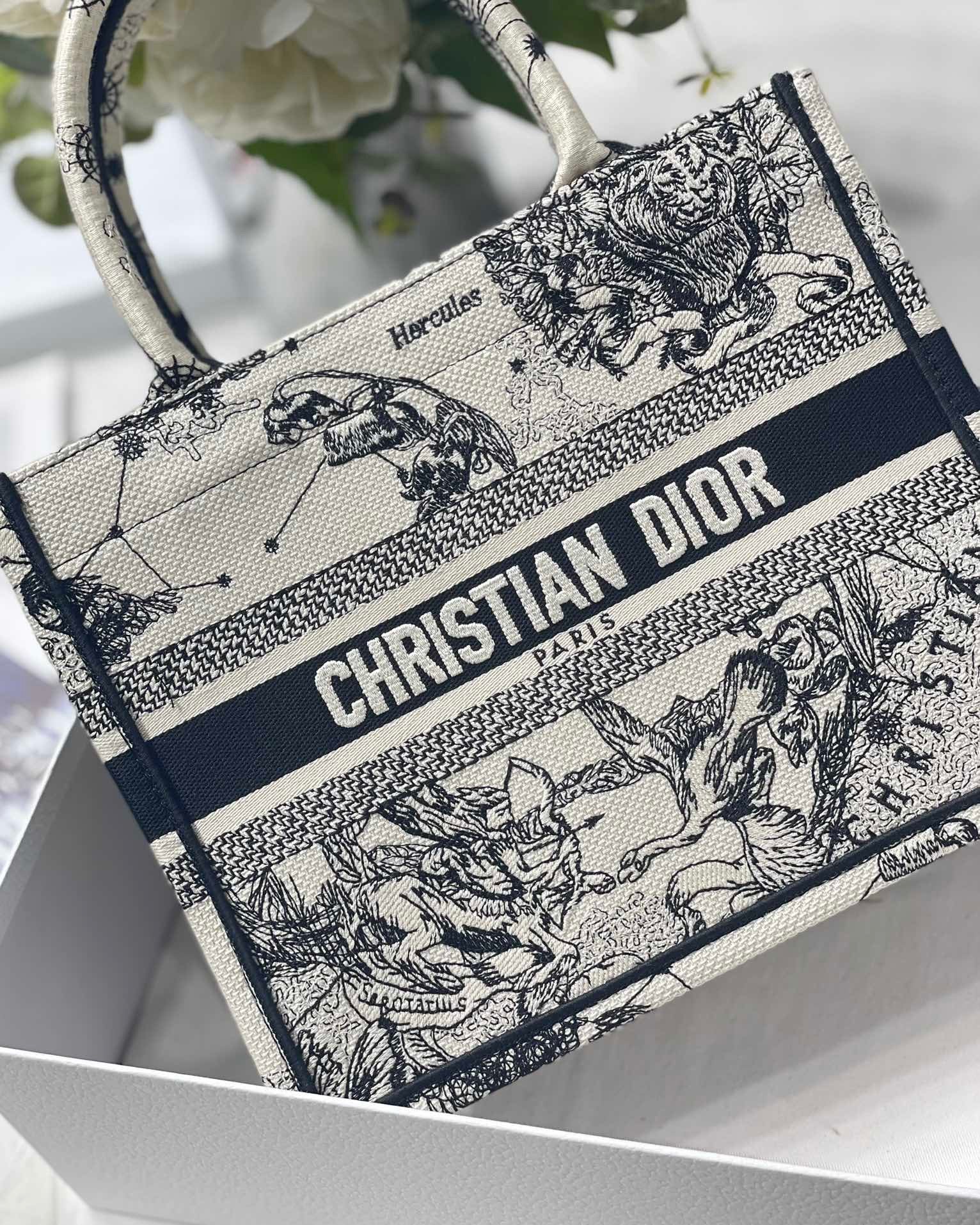 DIOR1.5_d30b9cc1-d60f-41fd-9d26-10ff43c5bd10