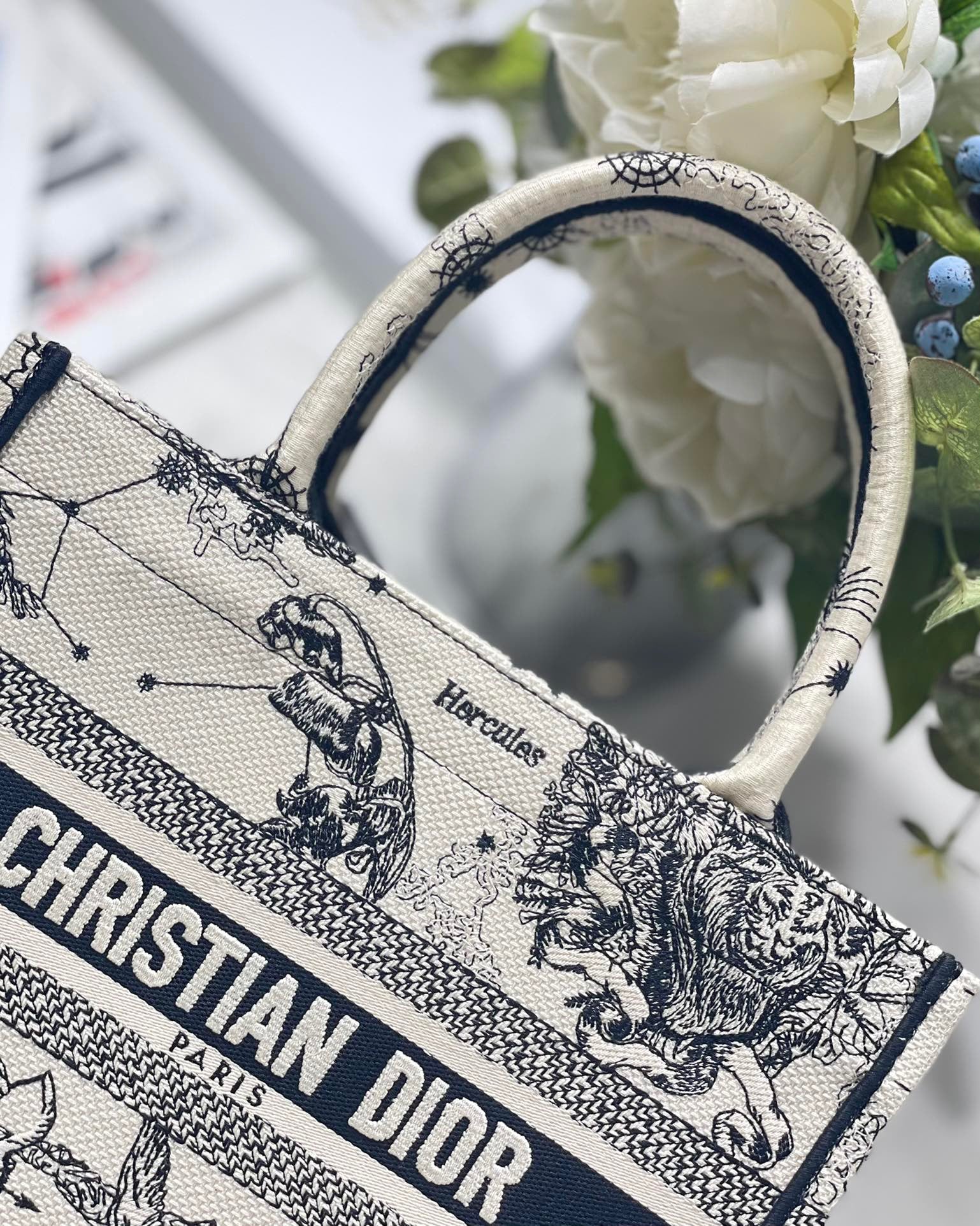 DIOR1.6_db48af76-319b-4544-92f2-14205f8bf851
