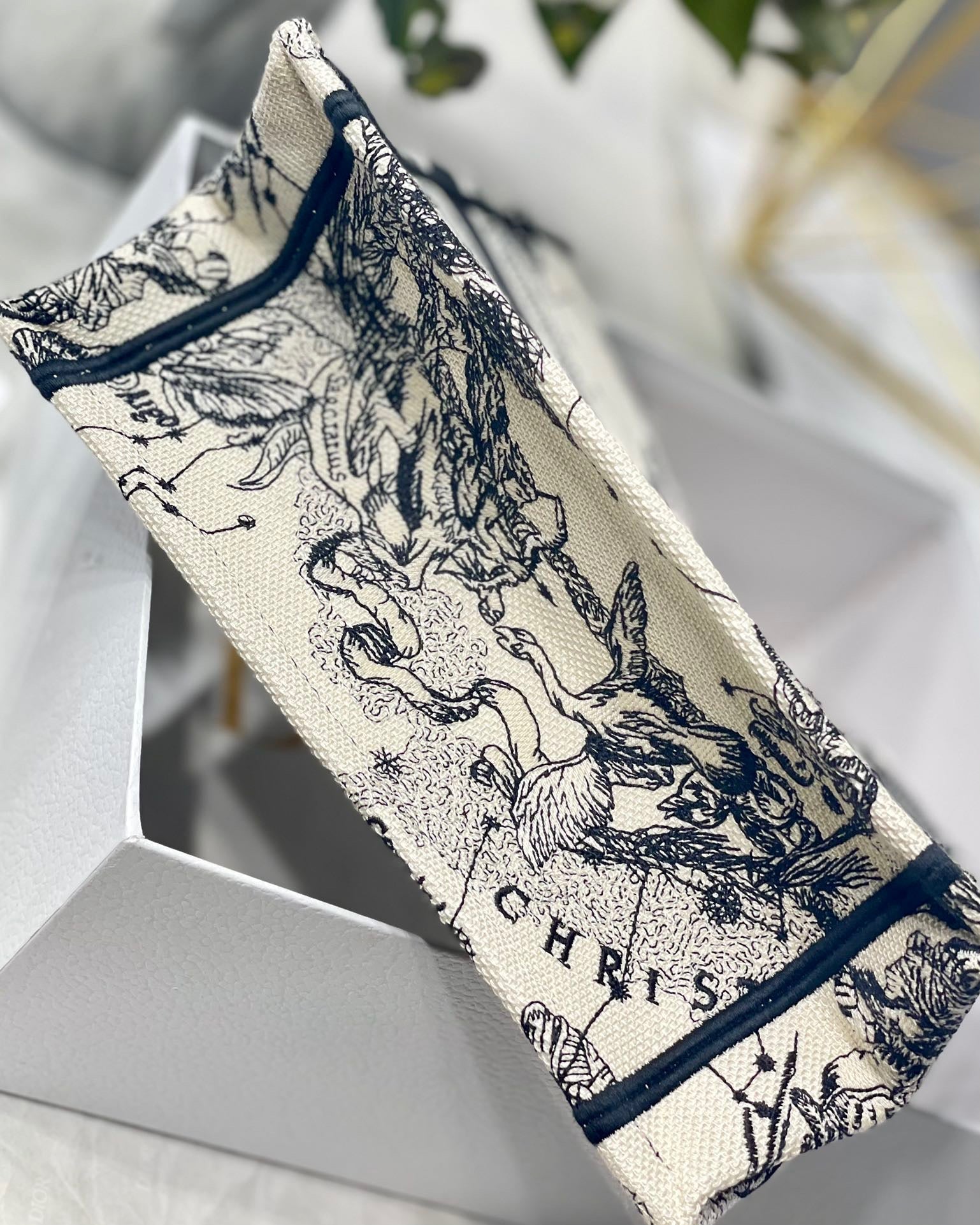 DIOR1.9_7a581ff1-73a5-4f61-90b9-1a97a9154153